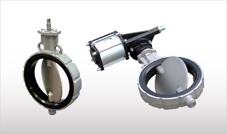 VW_Butterfly Valve with and without CP
